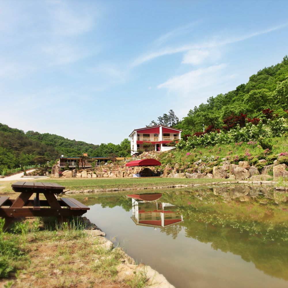 주간전경