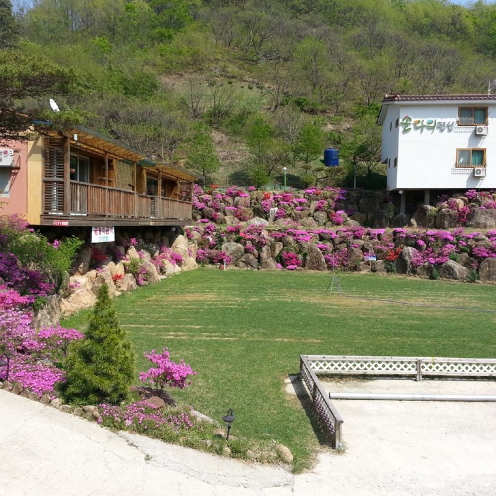 주변전경
